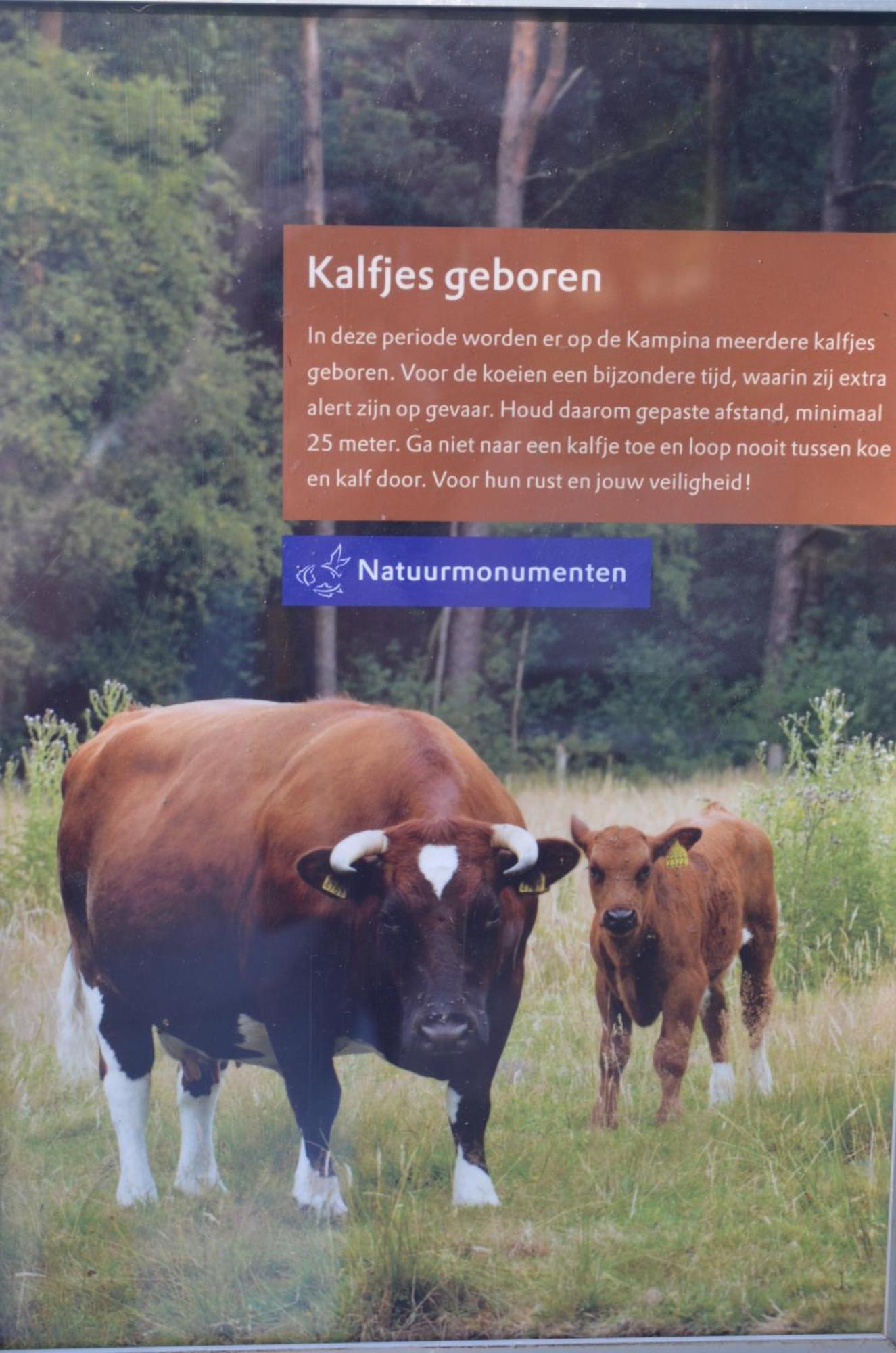 Erfgoed & Logies Den Heijkant Moergestel 部屋 写真