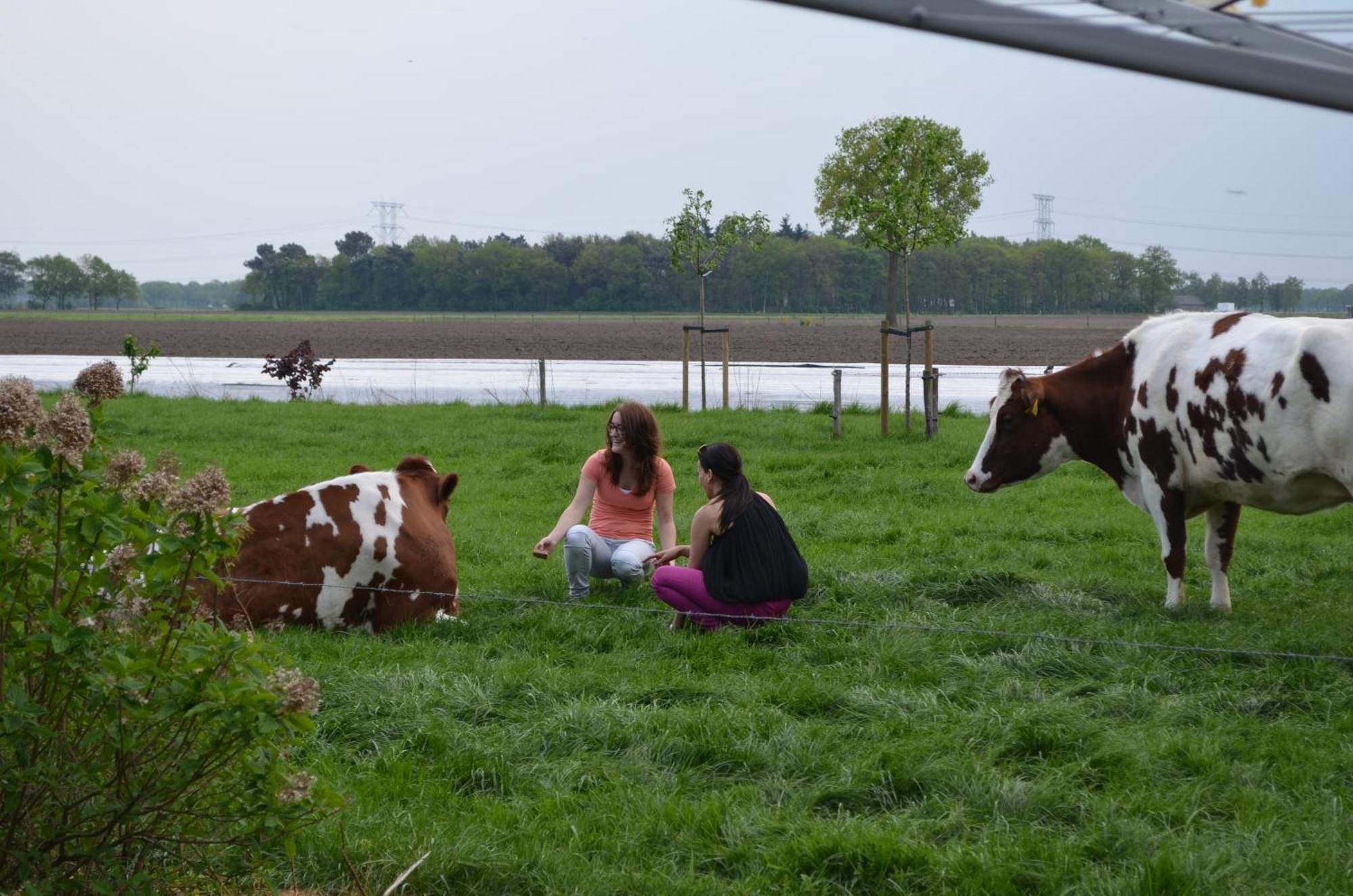 Erfgoed & Logies Den Heijkant Moergestel 部屋 写真
